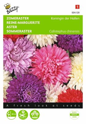 Reine-Marguerite Reine Des Halles