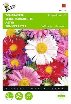 Graines de fleurs Reine-Marguerite