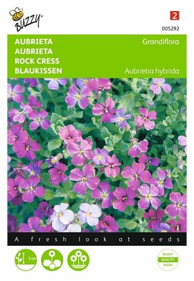 Graines de Fleurs Aubrietia Variée