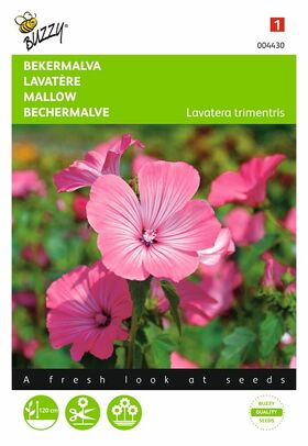 Graines de Lavatère Rose-Rouge