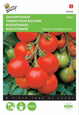 graines de Tomate Pour Balcons Maja