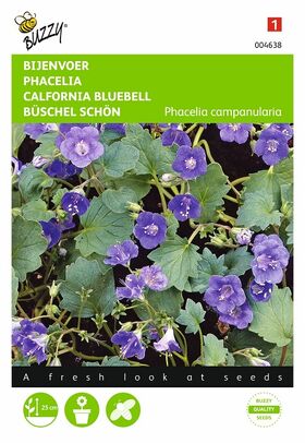 Grianes de fleurs Phacelia