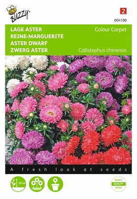 Graines de fleurs Reine-Marguerite