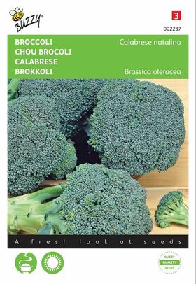 Graines de Chou Brocoli