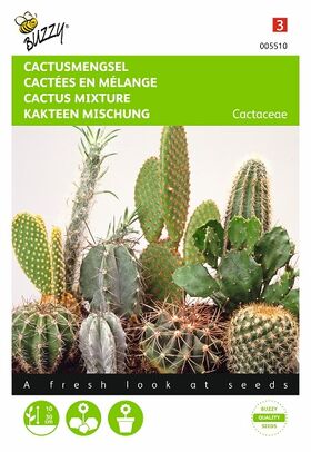 Graines de Cactées en Mélange