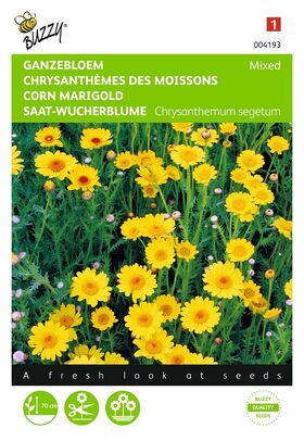 Graines de Chrysanthème des Moissons