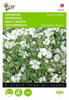 Graines de fleurs Gypsophile Covent Garden Blanc