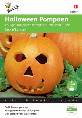 Graines de Courge Halloween