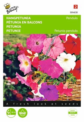 Semences de Fleurs Pétunia