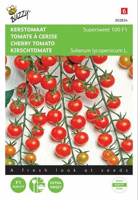 Graines de Tomate À Cerise