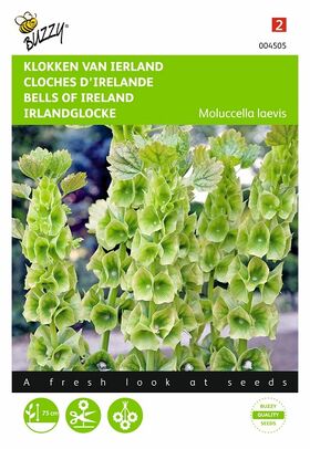 graines de Cloches d'Irlande