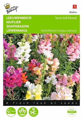 Graines de Fleurs Muflier