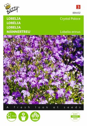 Graines de  Fleurs Lobélia