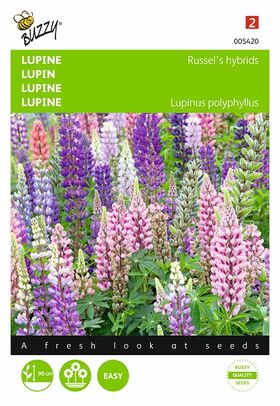 Graines de Lupin Russell's Hybrids