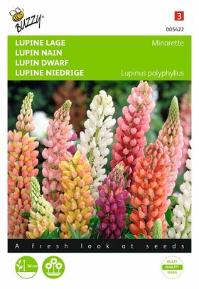 Graines de Fleurs Lupin Nain