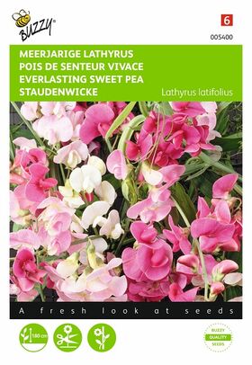 Graines de fleurs Pois De Senteur Vivace