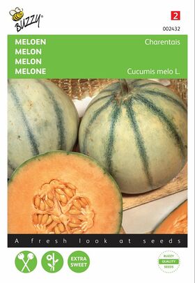 Graines de Melon Charentais