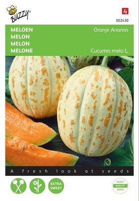 Graines de Melon