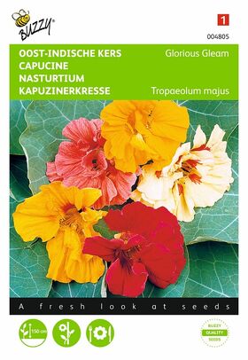 Graines de Capucine Nasturtium