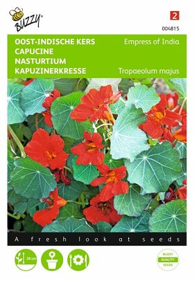 graines de Capucine Nasturtium