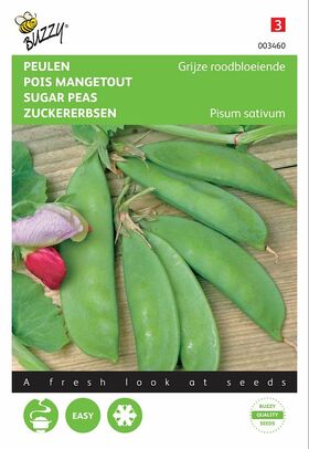 Graines de Pois Mangetout