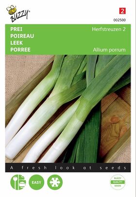 Graines de Poireau D'Elbeuf Amélioré