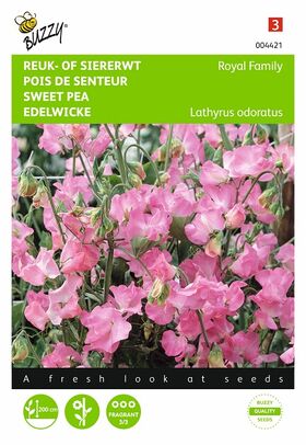 Graines de Pois De Senteur Rose