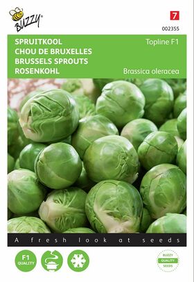 Graines de Chou de Bruxelles Hybride F1