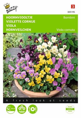 Graines de fleurs Violette Cornue, Bambini Varié