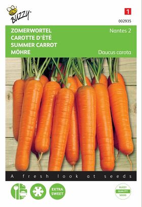 graines de Carottes Nantes