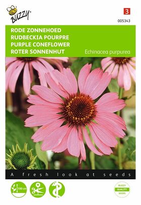 Graines de Rudbeckia Vivace