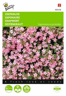 Graines de Fleurs Saponaire Rose