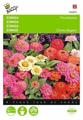Graines de Fleurs Zinnia Thumbelina