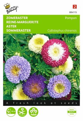 Graines de Reine-Marguerite