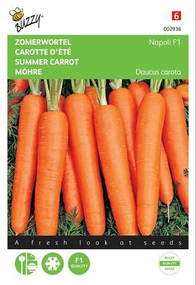 Graines de Carotte d été hybrid F1