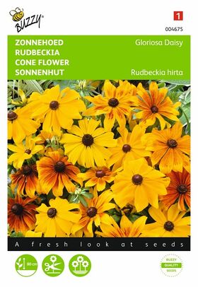 Graines de Fleurs Rudbeckia