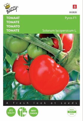 Graines de Tomate Pyros Hybride F1