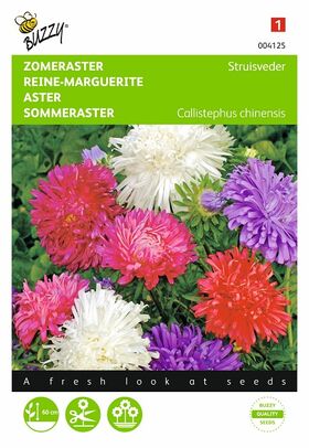 Graines de fleurs Reine-Marguerite