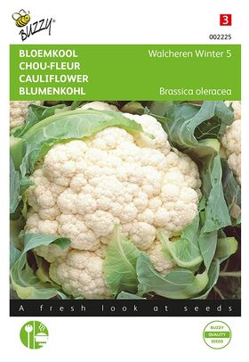 Chou-Fleur Ou Brocoli Blanc