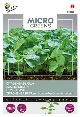 Microgreens Basilic-Citron