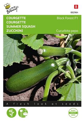 Courgette Black Forest F1