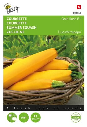 Courgette Gold Rush Hybride F1