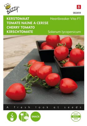 Tomate en Pot Heartbreaker Vita Hybride F1