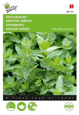 Menthe Crépue