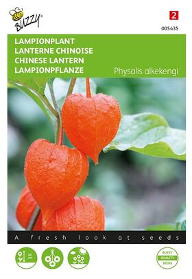 Lanterne Chinoise