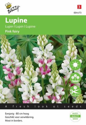 Graines de fleurs Lupin Pink Fairy