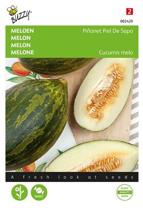 Melon Pinonet Piel De Sapo