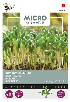 Microgreens Graines Bourrache