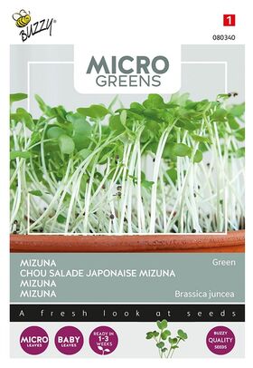 Microgreens Mizuna à feuille