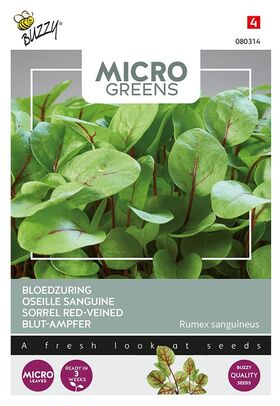 Microgreens Oseille Sanguine